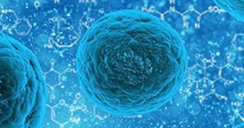 Neuer Wirkstoff HY-133 könnte Sanierung von MRSA-Patienten revolutionieren Neuartiger Wirkstoff HY-133 bekämpft Staphylococcus aureus-Erreger (Foto: HYpharm GmbH)
